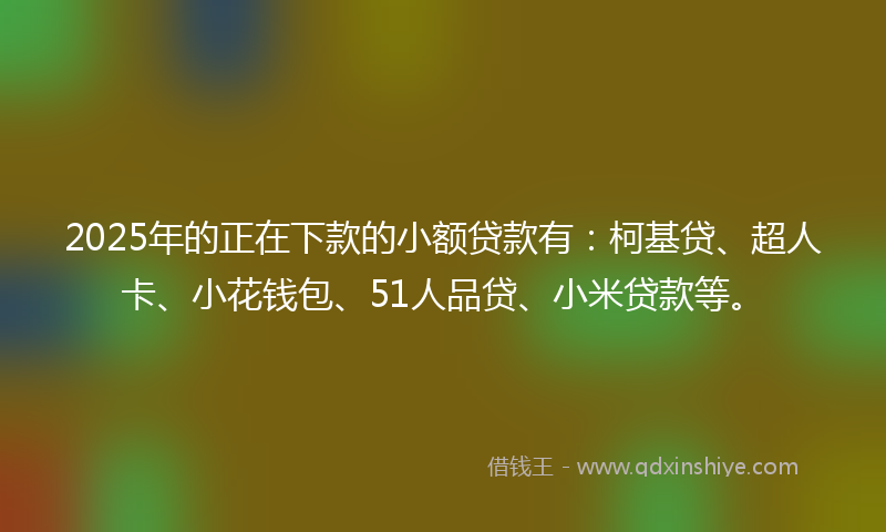 2025年的正在下款的小额贷款有：柯基贷、超人卡、小花钱包、51人品贷、小米贷款等。