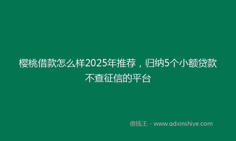 樱桃借款怎么样2025年推荐，归纳5个小额贷款不查征信的平台