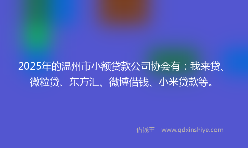 2025年的温州市小额贷款公司协会有：我来贷、微粒贷、东方汇、微博借钱、小米贷款等。