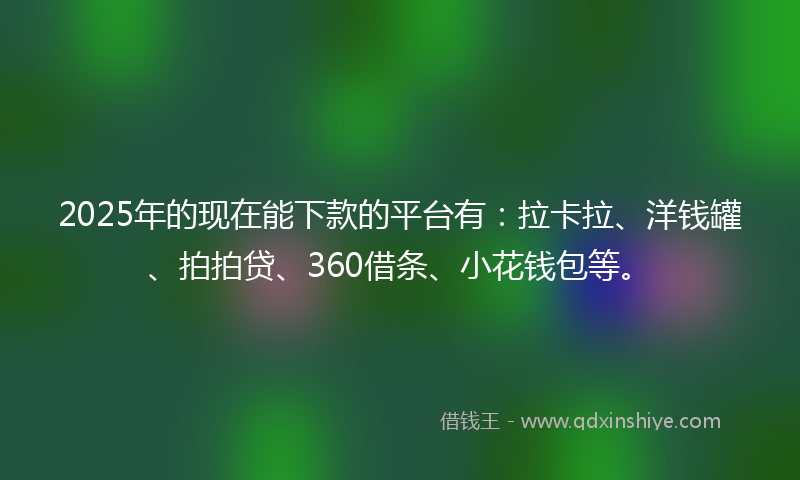 2025年的现在能下款的平台有：拉卡拉、洋钱罐、拍拍贷、360借条、小花钱包等。
