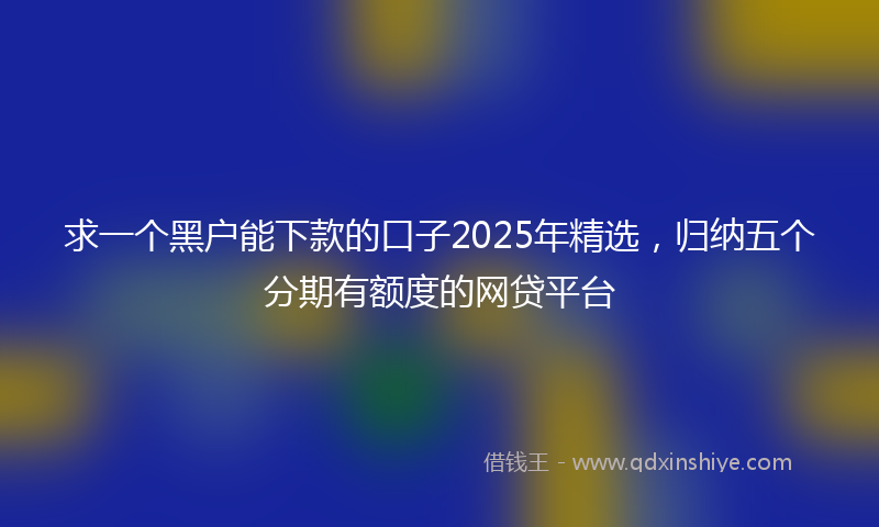 求一个黑户能下款的口子2025年精选，归纳五个分期有额度的网贷平台