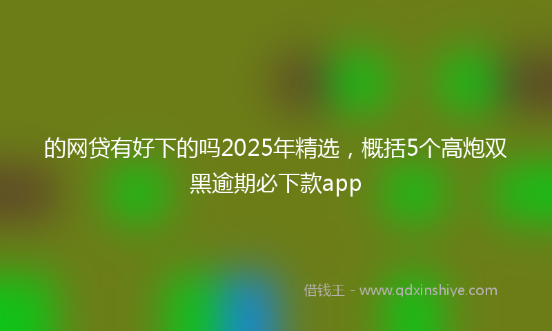 的网贷有好下的吗2025年精选，概括5个高炮双黑逾期必下款app