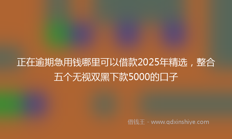 正在逾期急用钱哪里可以借款2025年精选，整合五个无视双黑下款5000的口子