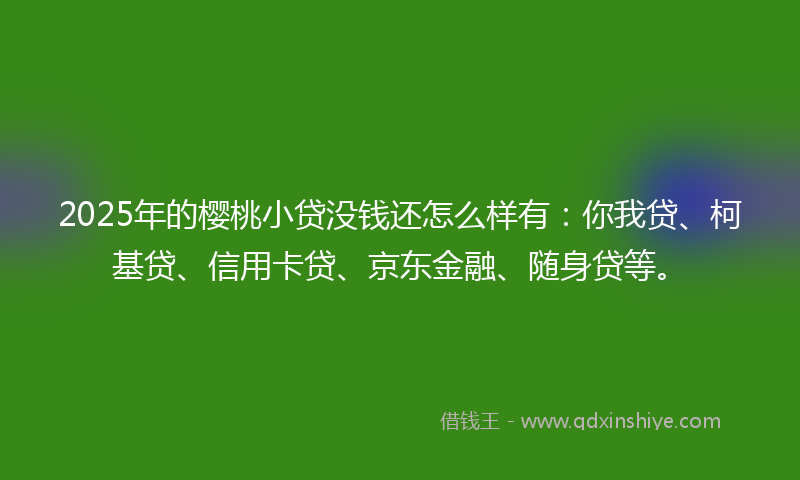 2025年的樱桃小贷没钱还怎么样有：你我贷、柯基贷、信用卡贷、京东金融、随身贷等。