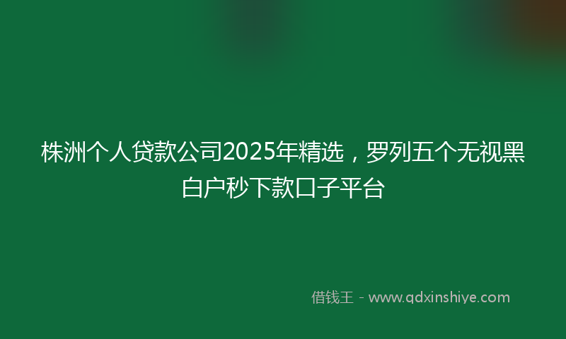 株洲个人贷款公司2025年精选,罗列五个无视黑白户秒下款口子平台
