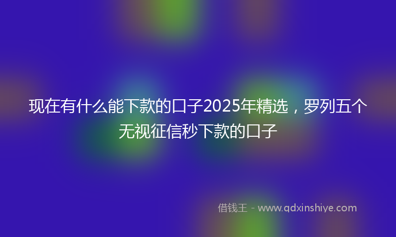 现在有什么能下款的口子2025年精选，罗列五个无视征信秒下款的口子