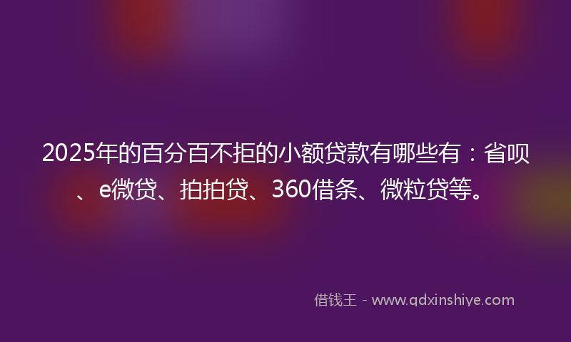 2025年的百分百不拒的小额贷款有哪些有：省呗、e微贷、拍拍贷、360借条、微粒贷等。