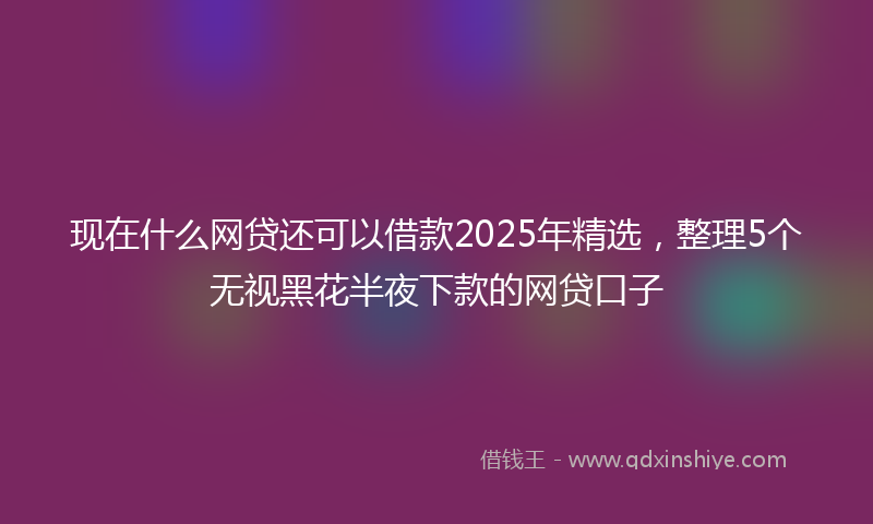 现在什么网贷还可以借款2025年精选，整理5个无视黑花半夜下款的网贷口子