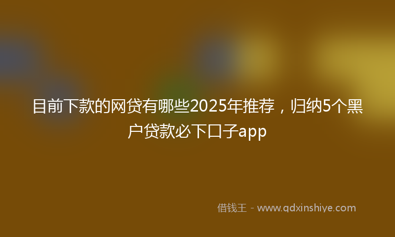 目前下款的网贷有哪些2025年推荐，归纳5个黑户贷款必下口子app