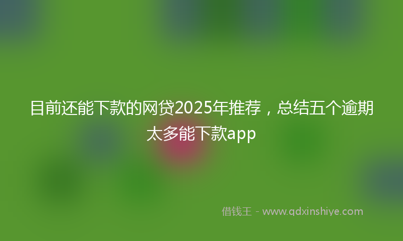 目前还能下款的网贷2025年推荐，总结五个逾期太多能下款app