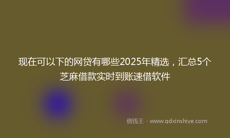现在可以下的网贷有哪些2025年精选，汇总5个芝麻借款实时到账速借软件