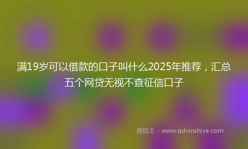 满19岁可以借款的口子叫什么2025年推荐，汇总五个网贷无视不查征信口子