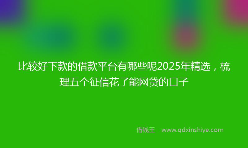 比较好下款的借款平台有哪些呢2025年精选,梳理五个征信花了能网贷的口子