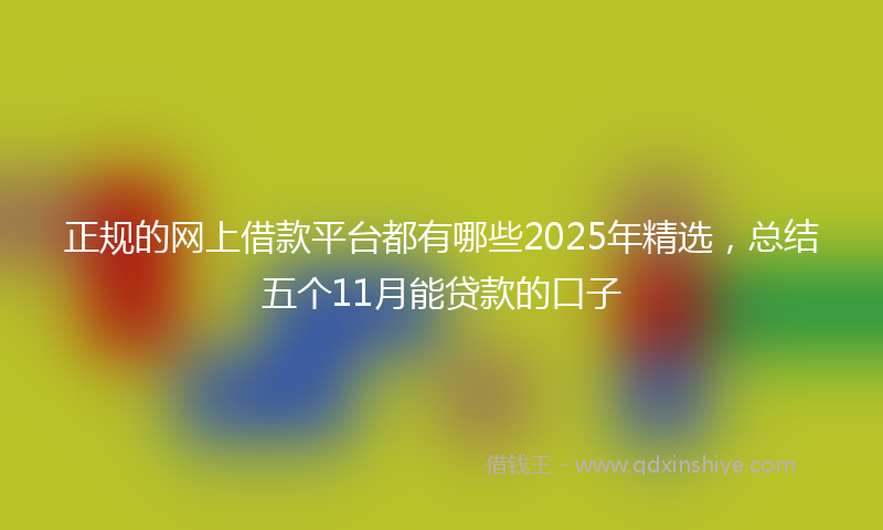 正规的网上借款平台都有哪些2025年精选，总结五个11月能贷款的口子