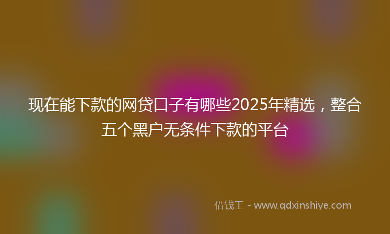 现在能下款的网贷口子有哪些2025年精选，整合五个黑户无条件下款的平台