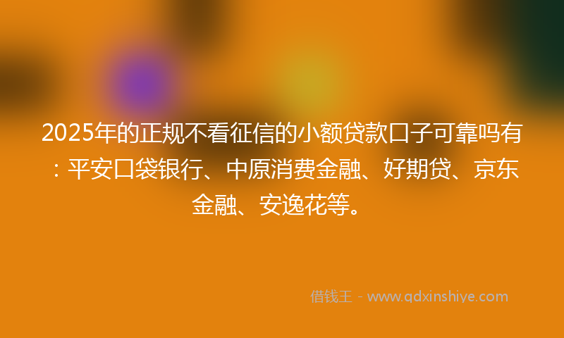 2025年的正规不看征信的小额贷款口子可靠吗有：平安口袋银行、中原消费金融、好期贷、京东金融、安逸花等。