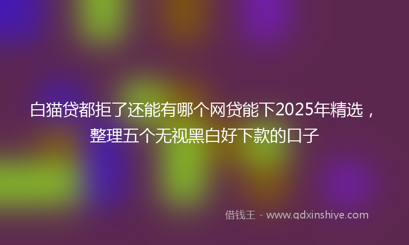 白猫贷都拒了还能有哪个网贷能下2025年精选，整理五个无视黑白好下款的口子