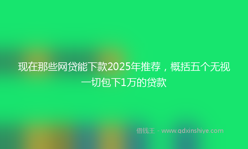 现在那些网贷能下款2025年推荐，概括五个无视一切包下1万的贷款