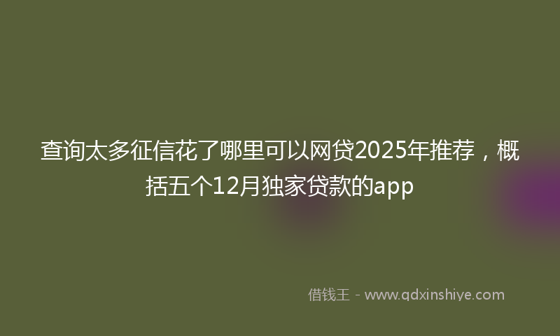查询太多征信花了哪里可以网贷2025年推荐，概括五个12月独家贷款的app