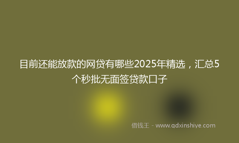 目前还能放款的网贷有哪些2025年精选，汇总5个秒批无面签贷款口子