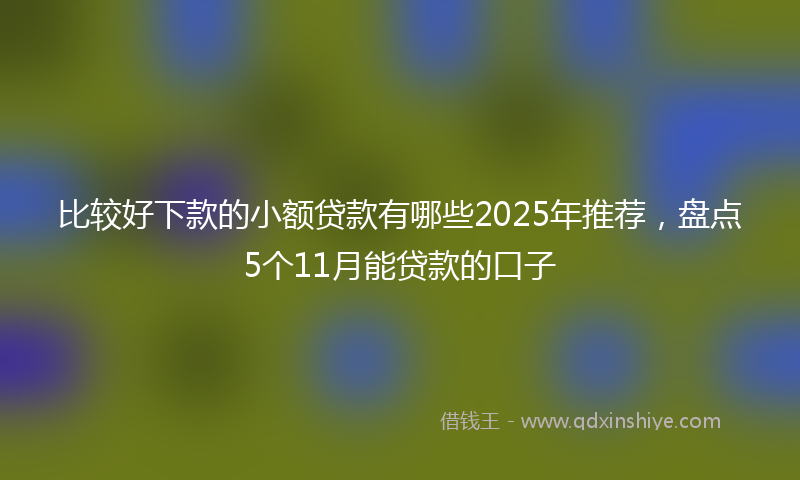 比较好下款的小额贷款有哪些2025年推荐,盘点5个11月能贷款的口子