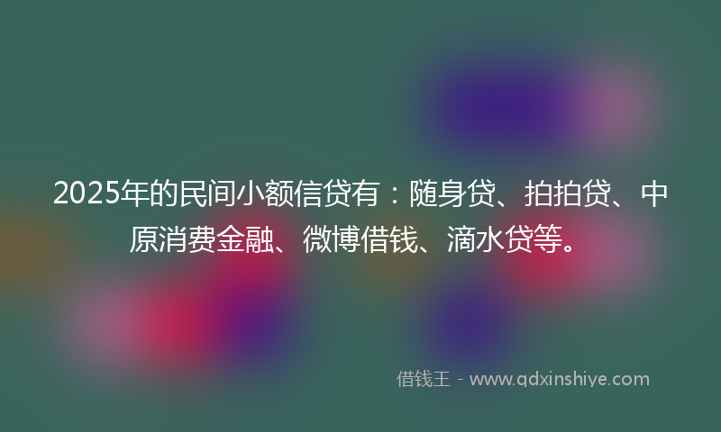 2025年的民间小额信贷有：随身贷、拍拍贷、中原消费金融、微博借钱、滴水贷等。