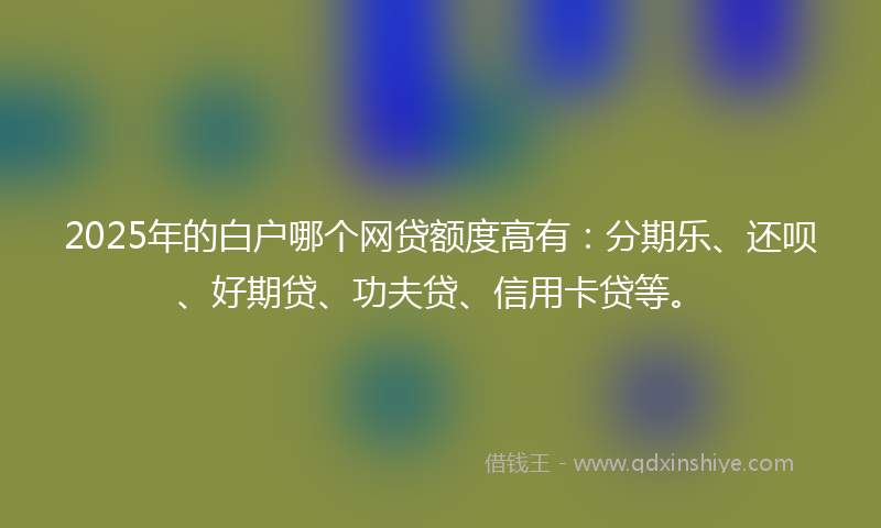 2025年的白户哪个网贷额度高有：分期乐、还呗、好期贷、功夫贷、信用卡贷等。