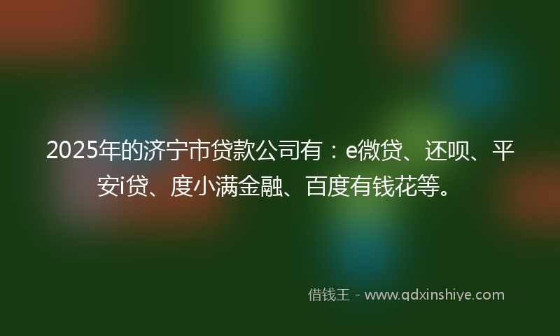 2025年的济宁市贷款公司有：e微贷、还呗、平安i贷、度小满金融、百度有钱花等。