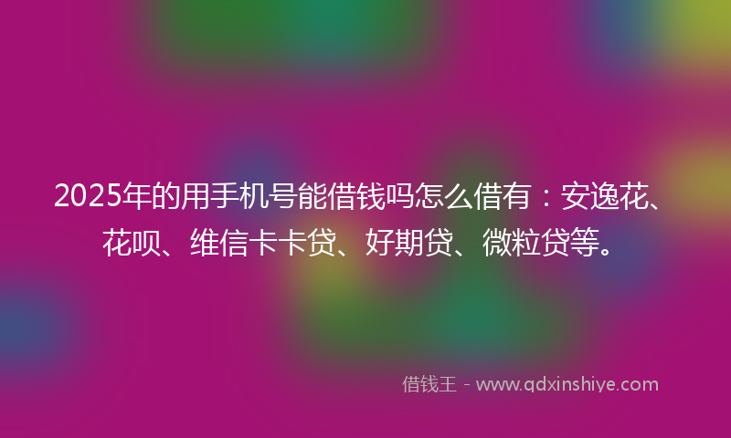 2025年的用手机号能借钱吗怎么借有：安逸花、花呗、维信卡卡贷、好期贷、微粒贷等。