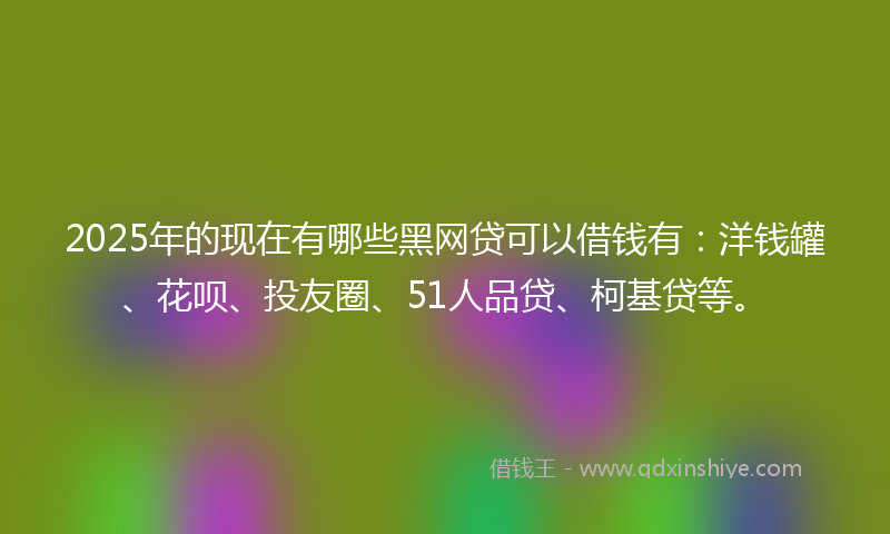 2025年的现在有哪些黑网贷可以借钱有：洋钱罐、花呗、投友圈、51人品贷、柯基贷等。