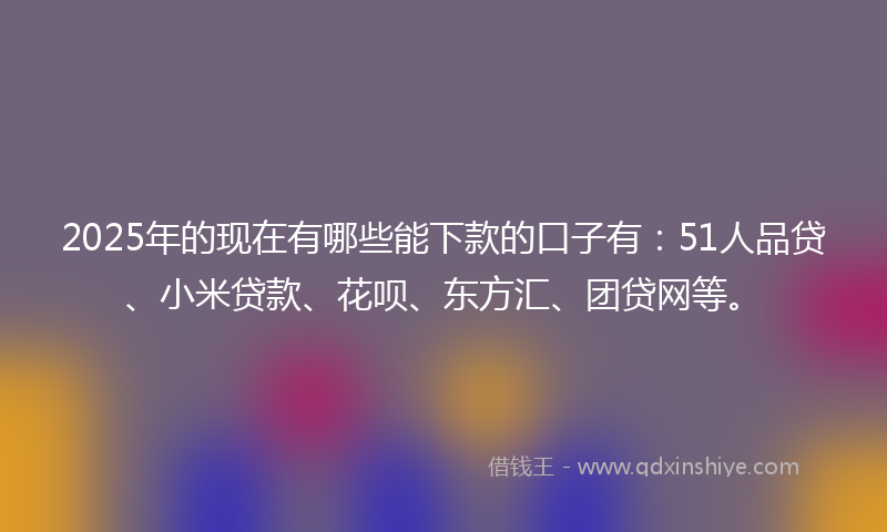 2025年的现在有哪些能下款的口子有：51人品贷、小米贷款、花呗、东方汇、团贷网等。