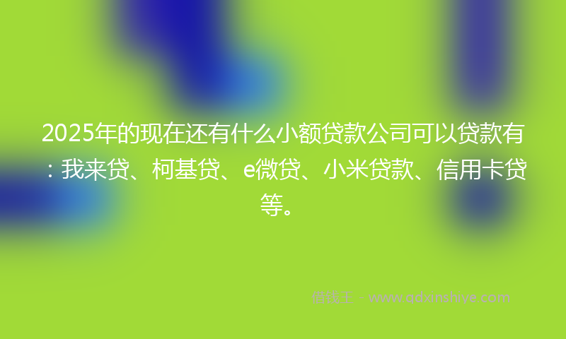 2025年的现在还有什么小额贷款公司可以贷款有：我来贷、柯基贷、e微贷、小米贷款、信用卡贷等。