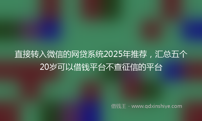 直接转入微信的网贷系统2025年推荐，汇总五个20岁可以借钱平台不查征信的平台