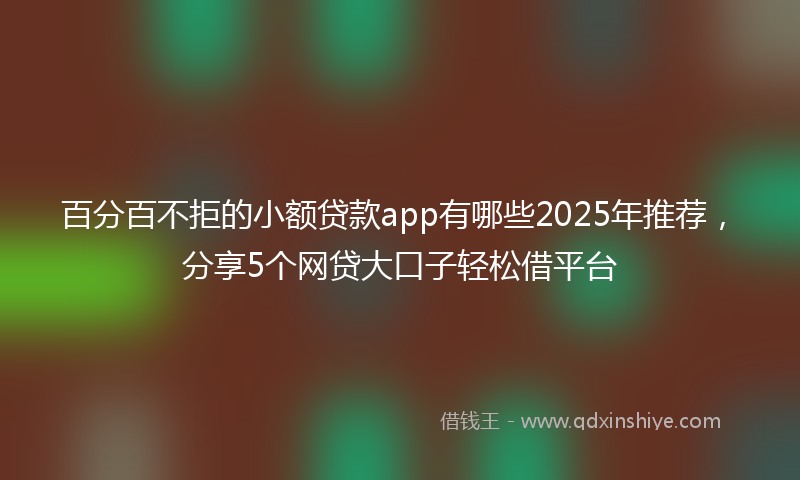 百分百不拒的小额贷款app有哪些2025年推荐，分享5个网贷大口子轻松借平台