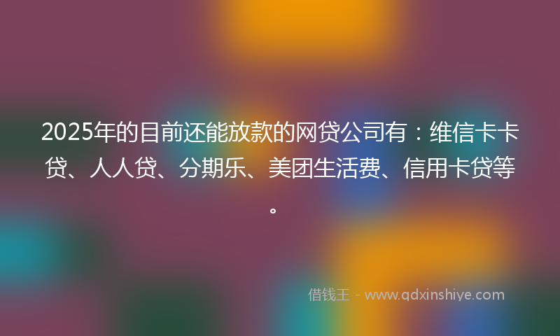 2025年的目前还能放款的网贷公司有：维信卡卡贷、人人贷、分期乐、美团生活费、信用卡贷等。