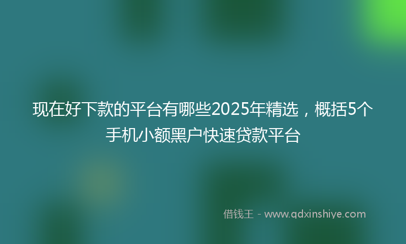 现在好下款的平台有哪些2025年精选，概括5个手机小额黑户快速贷款平台