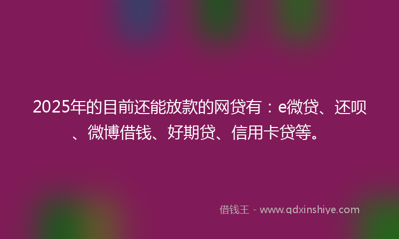 2025年的目前还能放款的网贷有：e微贷、还呗、微博借钱、好期贷、信用卡贷等。