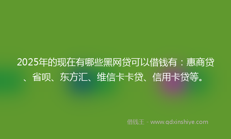 2025年的现在有哪些黑网贷可以借钱有：惠商贷、省呗、东方汇、维信卡卡贷、信用卡贷等。