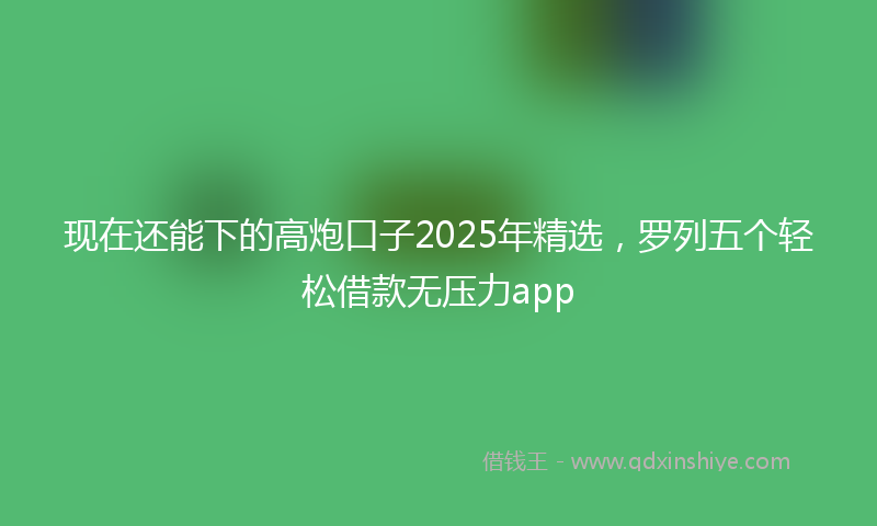 现在还能下的高炮口子2025年精选，罗列五个轻松借款无压力app