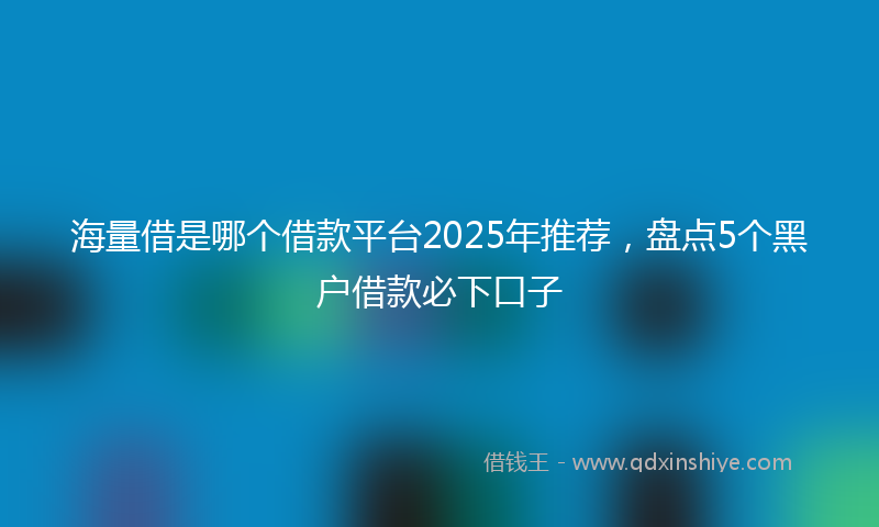 海量借是哪个借款平台2025年推荐，盘点5个黑户借款必下口子