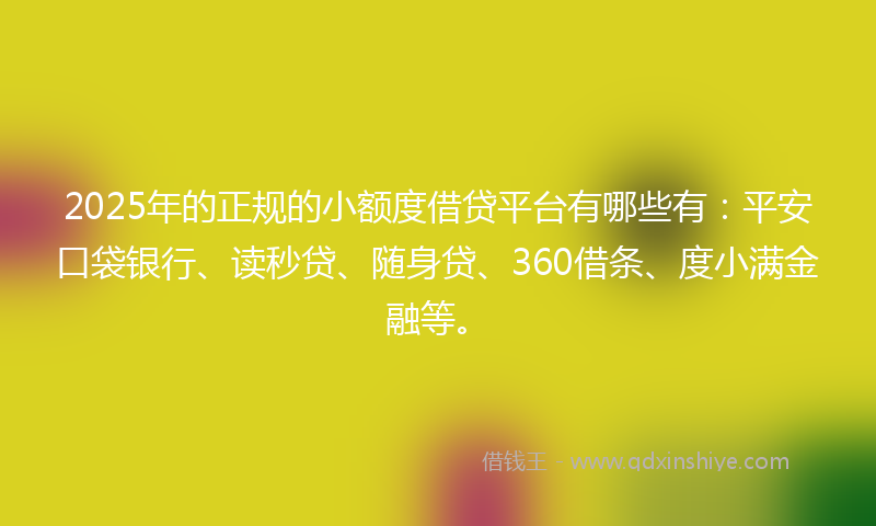 2025年的正规的小额度借贷平台有哪些有：平安口袋银行、读秒贷、随身贷、360借条、度小满金融等。
