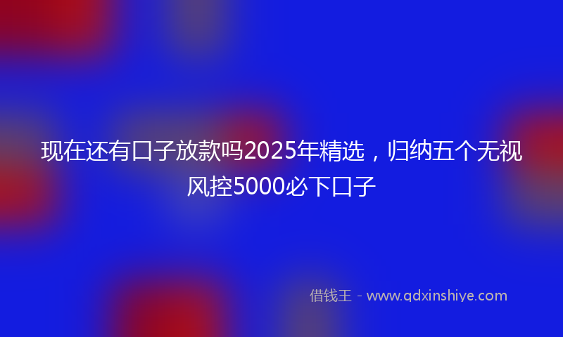 现在还有口子放款吗2025年精选，归纳五个无视风控5000必下口子