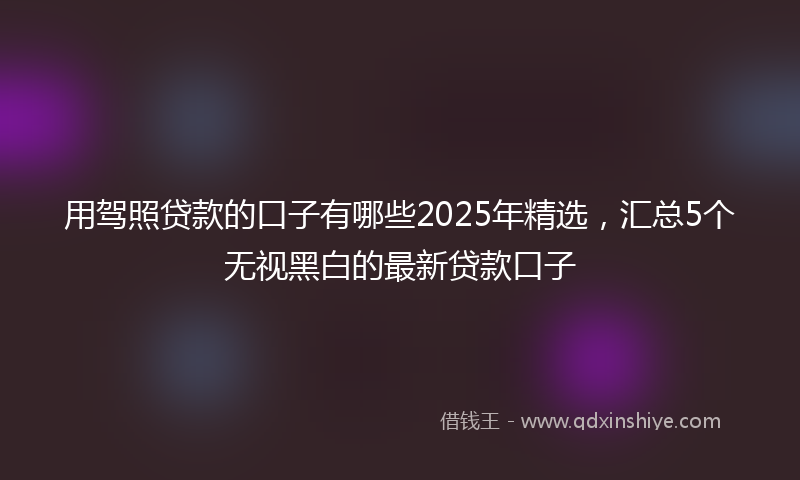 用驾照贷款的口子有哪些2025年精选，汇总5个无视黑白的最新贷款口子