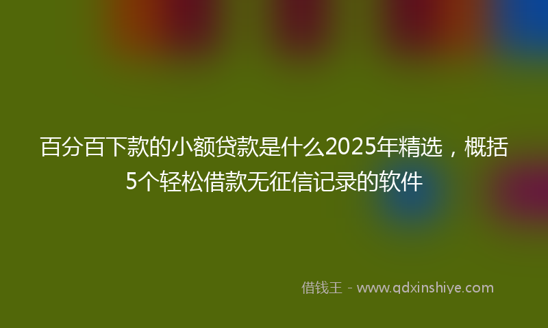 百分百下款的小额贷款是什么2025年精选，概括5个轻松借款无征信记录的软件