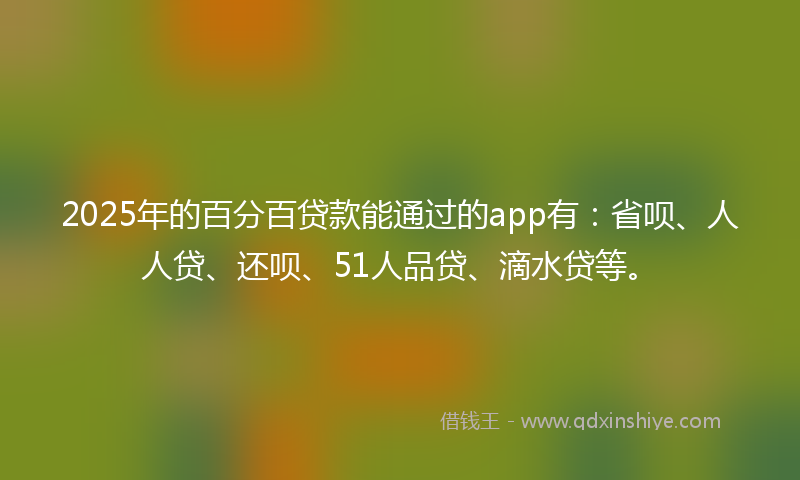 2025年的百分百贷款能通过的app有：省呗、人人贷、还呗、51人品贷、滴水贷等。