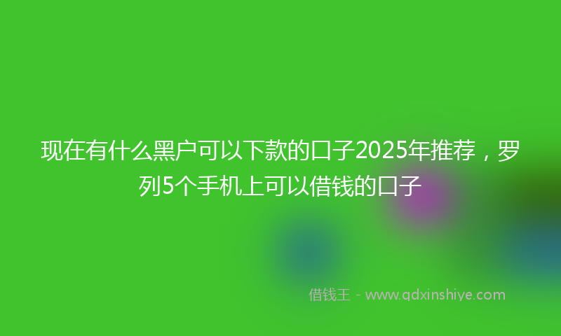现在有什么黑户可以下款的口子2025年推荐，罗列5个手机上可以借钱的口子