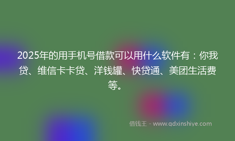 2025年的用手机号借款可以用什么软件有：你我贷、维信卡卡贷、洋钱罐、快贷通、美团生活费等。