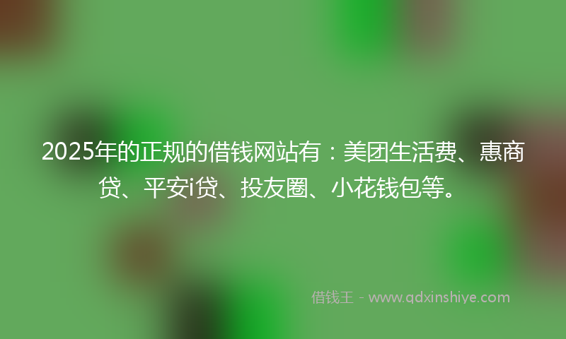 2025年的正规的借钱网站有：美团生活费、惠商贷、平安i贷、投友圈、小花钱包等。