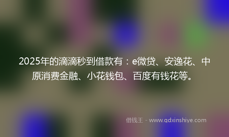 2025年的滴滴秒到借款有：e微贷、安逸花、中原消费金融、小花钱包、百度有钱花等。