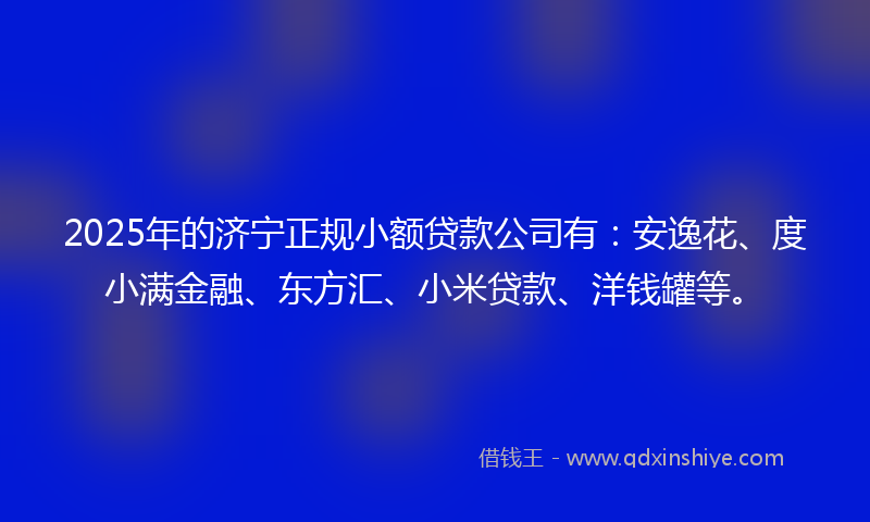 2025年的济宁正规小额贷款公司有：安逸花、度小满金融、东方汇、小米贷款、洋钱罐等。